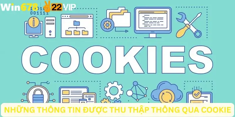 Những thông tin được thu thập thông qua cookie