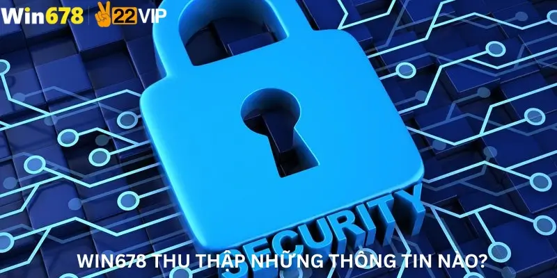 Win678 thu thập những thông tin nào?